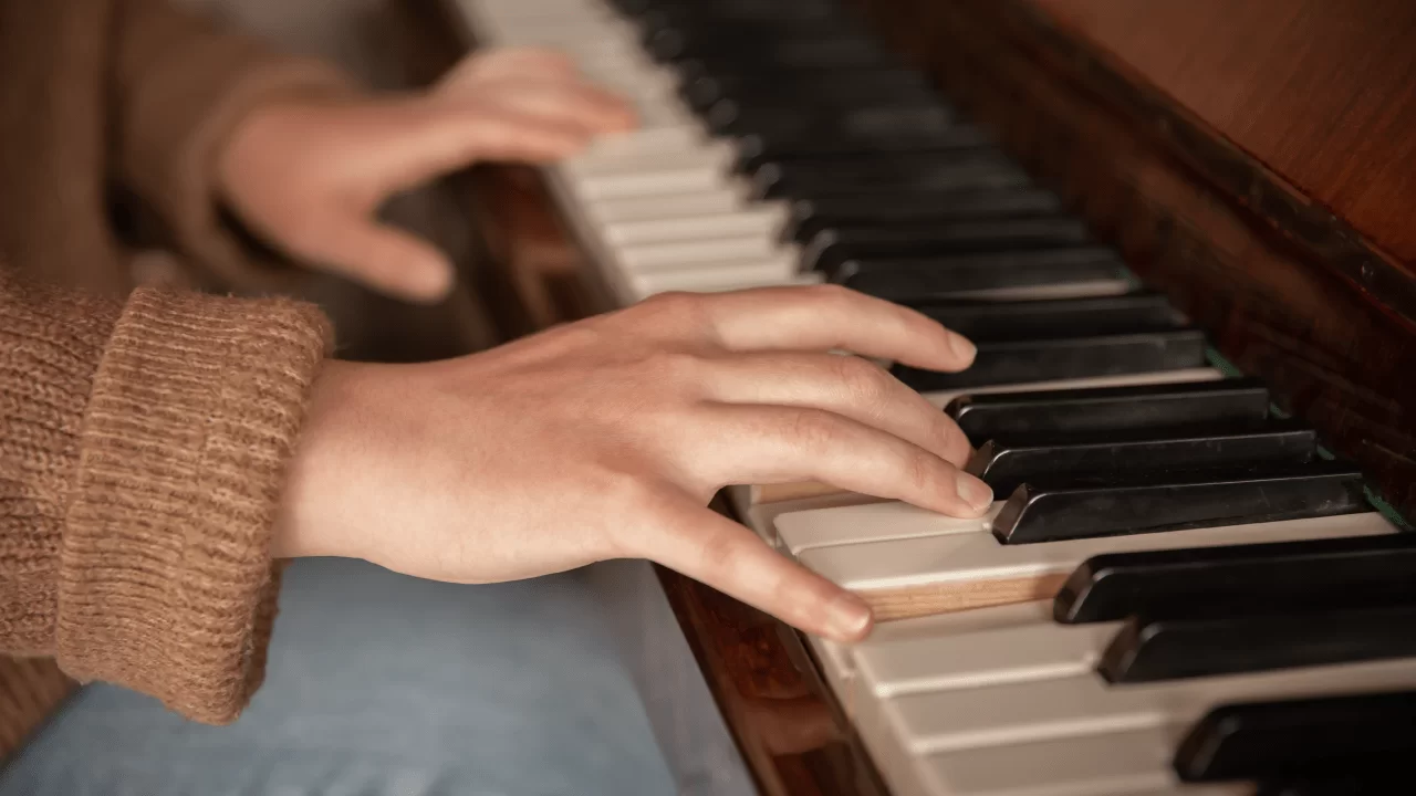 Apaixonados por acordeon - que tipo de músico você quer ser